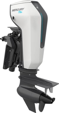 Mercury Avator 75e Remote