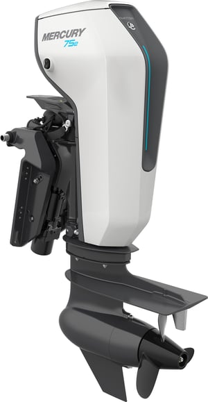 Mercury Avator 75e Remote