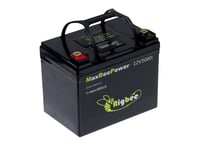 Rigbee blocco batteria 12 V 50 Ah