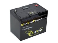 Rigbee batteriblock 12 V 80 Ah