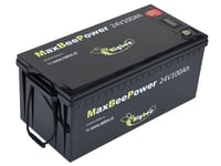 Rigbee blocco batteria 24 V 100 Ah incluso caricabatterie da 20 A