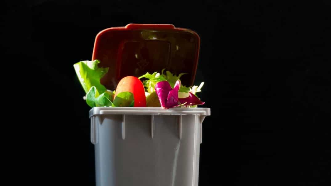 Reduzierung von Lebensmittelabfällen