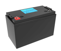 Batterytechnology 24 V 60 Ah LiFePO4-Batterieset