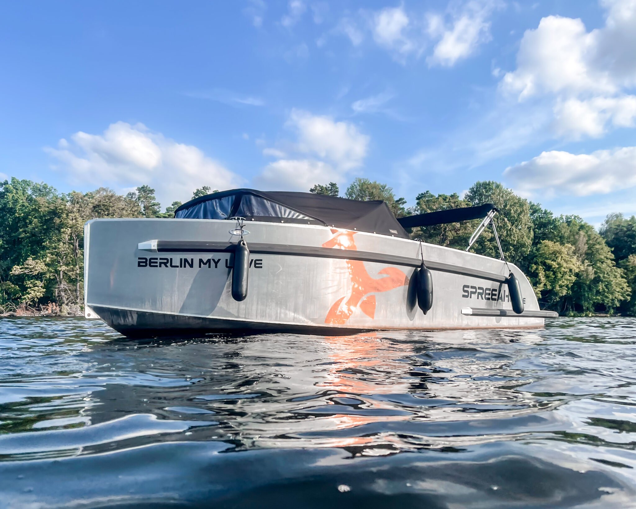 Moteurs électriques et batteries pour la location de bateaux