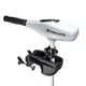 Minn Kota Riptide Transom 45/SC - image 1