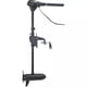 Motorguide R3-45 - image 0