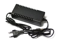 Rigbee 12 V 3 A charger
