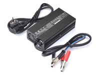 Rigbee 24 V 10 A charger