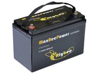 Rigbee battery 24 V 50 Ah with 10 A charger