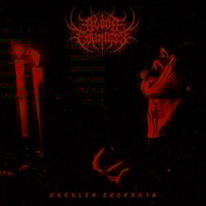 Blood Countess Album Cover