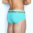 C-IN2-8064-300-C-Theory-Briefs-5