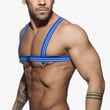 HARNESS BLUE AD676.2