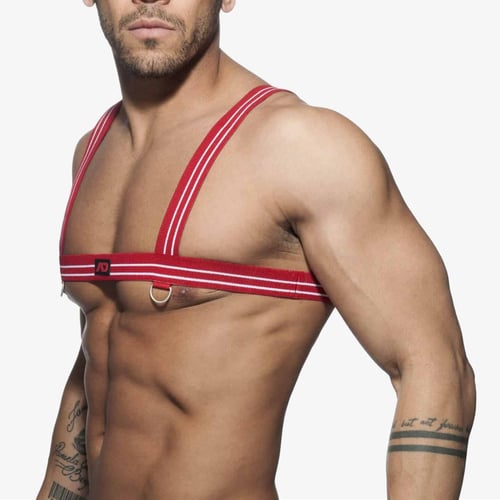 ADDICTED HARNESS RED