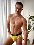UPCYCLED YELLOW BRIEF.model.1