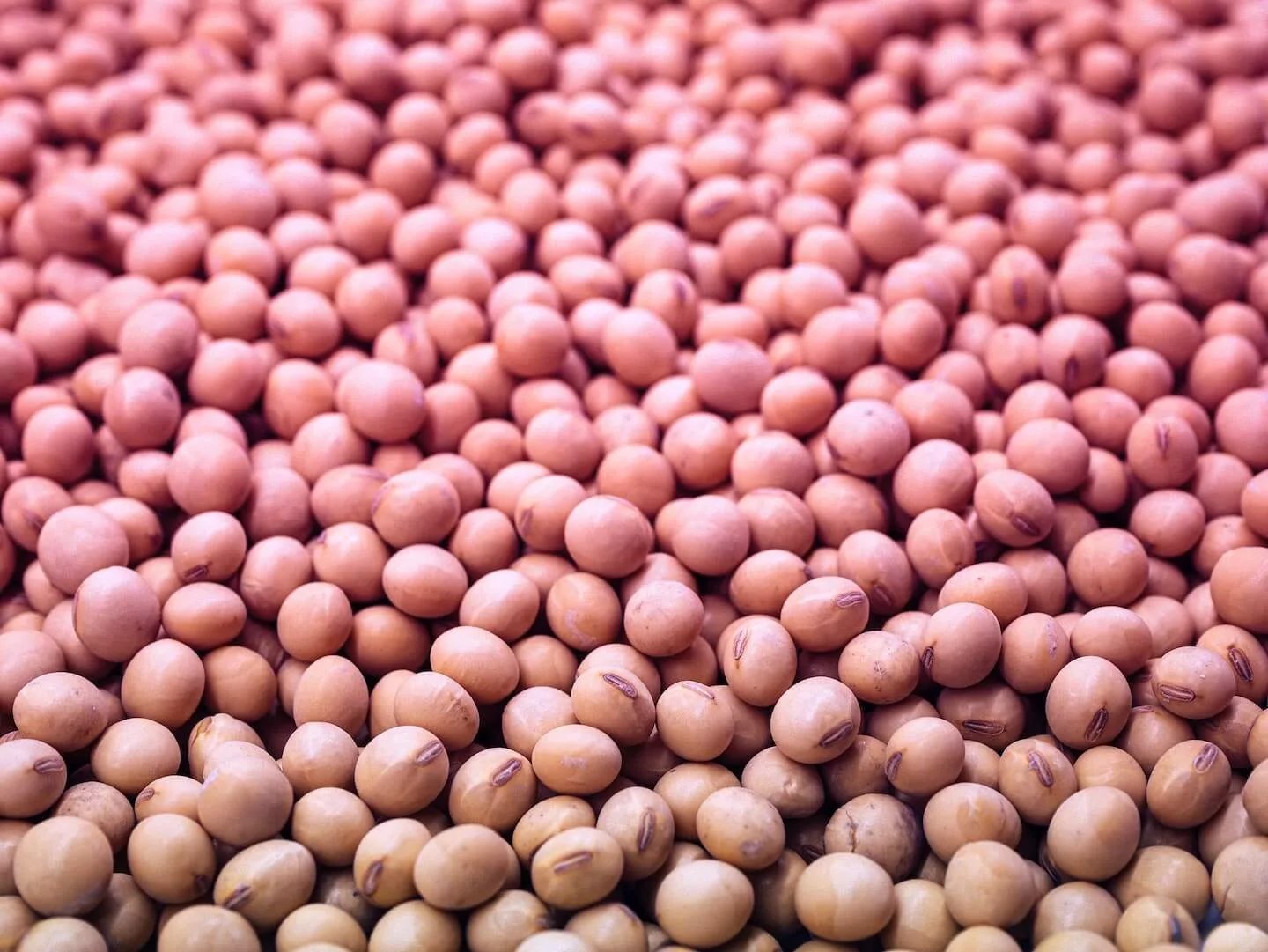 How soy helps you to stay hydrated