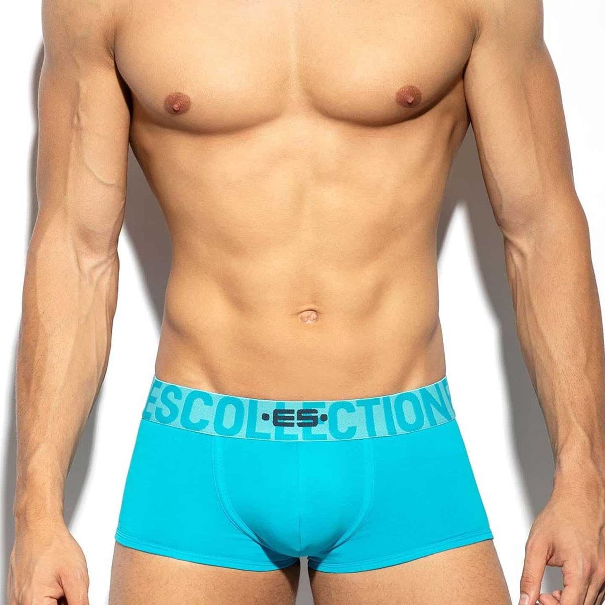 ES Collection UN488 TURQUOISE TRUNK