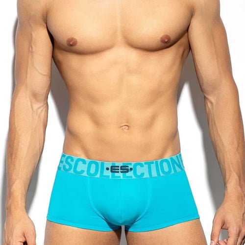 ES Collection UN488 TURQUOISE TRUNK