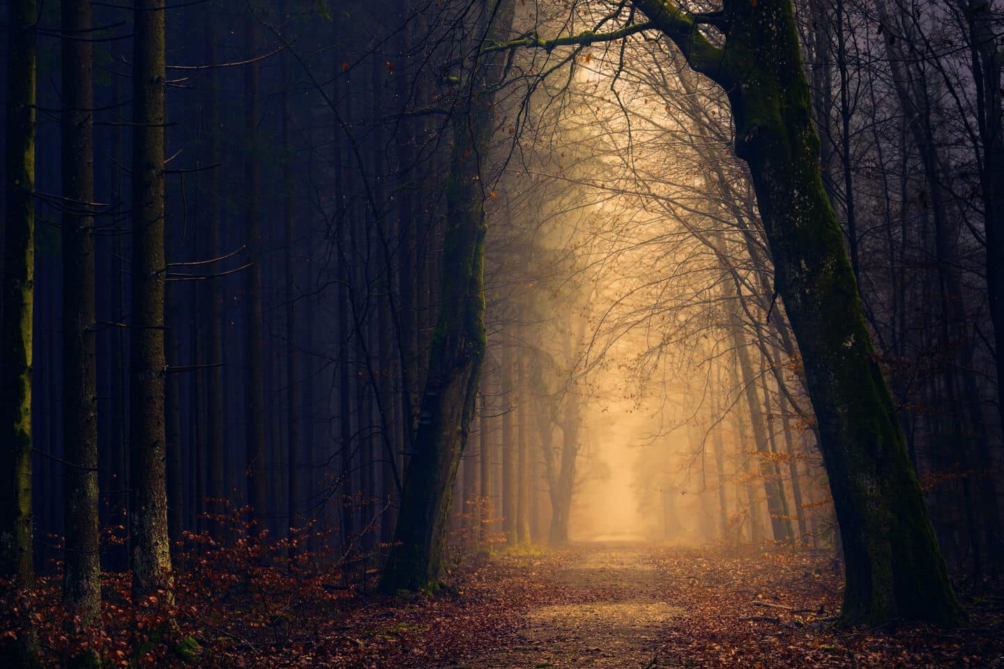 How to keep your spirits up during fall?