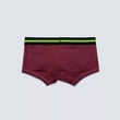 Maroon Green Boxer.2