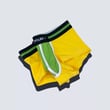 Yellow Green Boxer.3