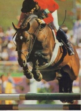 Anne Kursinski in Olympic show jumping competition