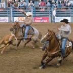 TeamRoping.AI