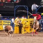 TeamRopingVideos.com