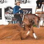 Reining Horse Bulletin Board