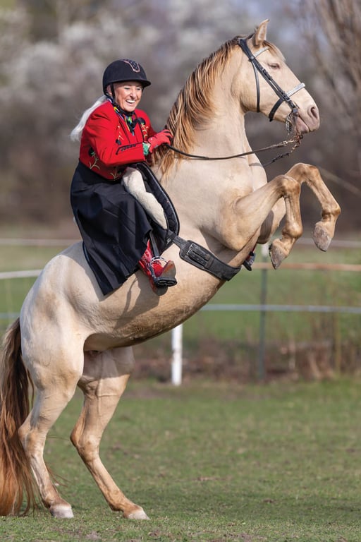 Linda Tellington-Jones seated on a palomino horse rearing up — demonstrating connection and trust