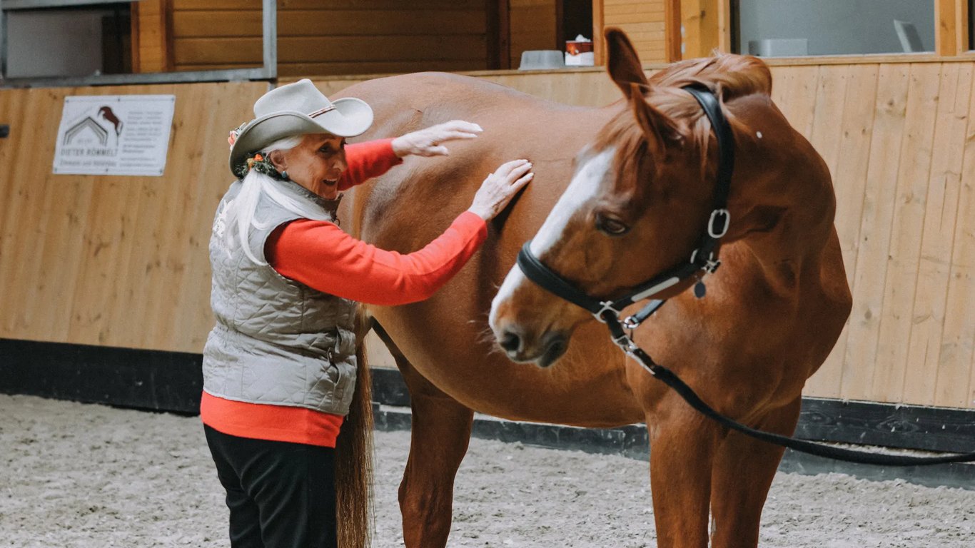 Linda Tellington-Jones demonstrating the Tellington TTouch Method on a chestnut horse in an indoor arena