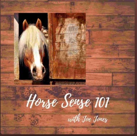 Horse Sense 101