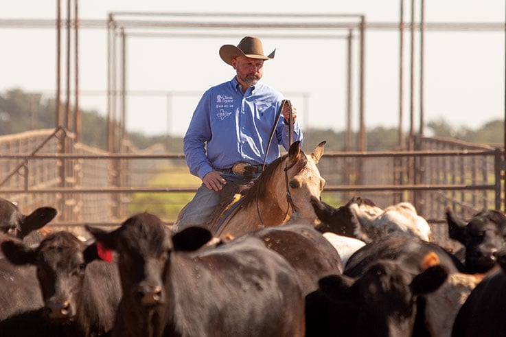 Tatum Rice working cattle in the cutting pen