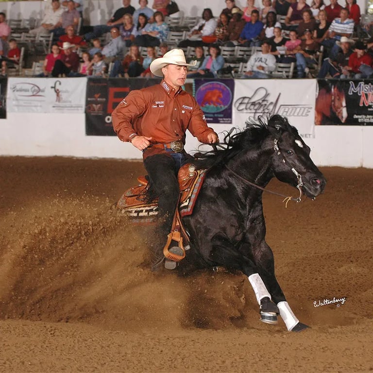 Todd Bergen executing a sliding stop in reining competition — Photo © Waltenberry