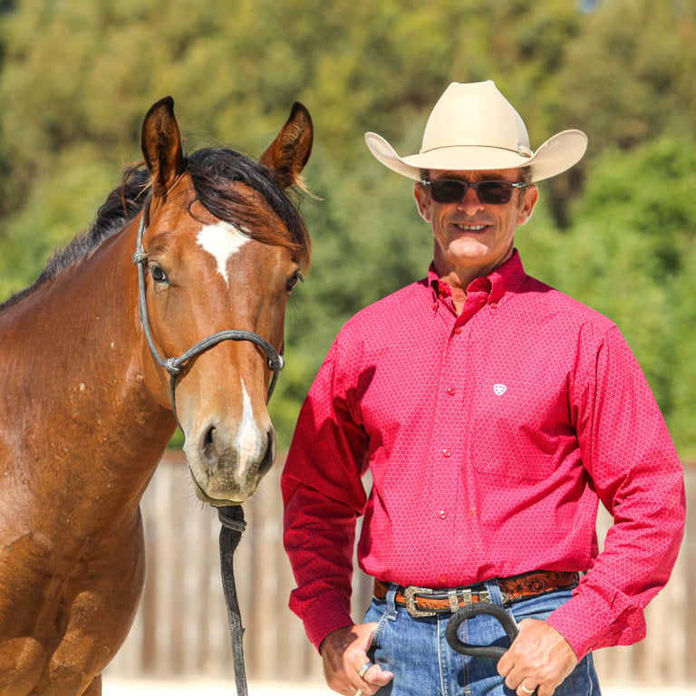 Warwick Schiller with a bay horse — clinician and trainer portrait