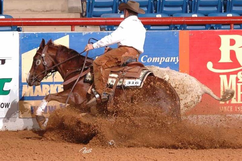 Ron Emmons on Olena Oak