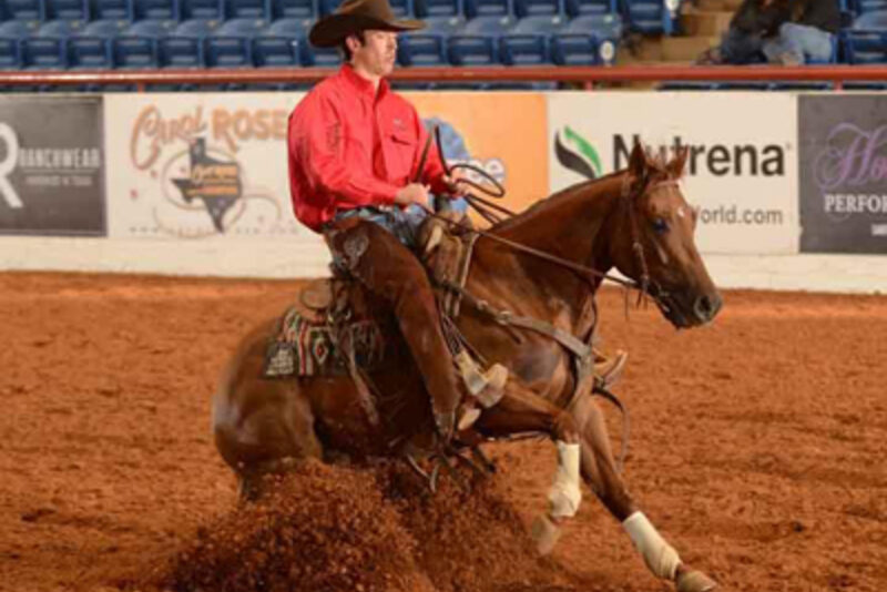 Jordan Williams on Jaymes Bond