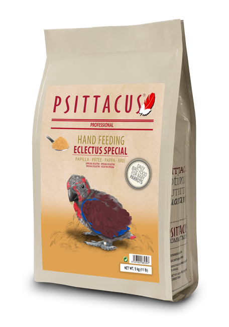 Eclectus special Hand Feeding Psittacus formula