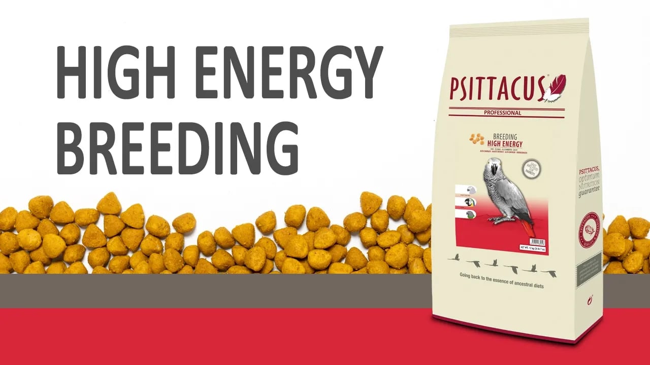 High Energy breeding