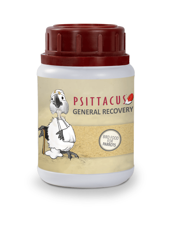 Psittacus General Recovery