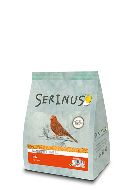 Serinus Maintenance formula red