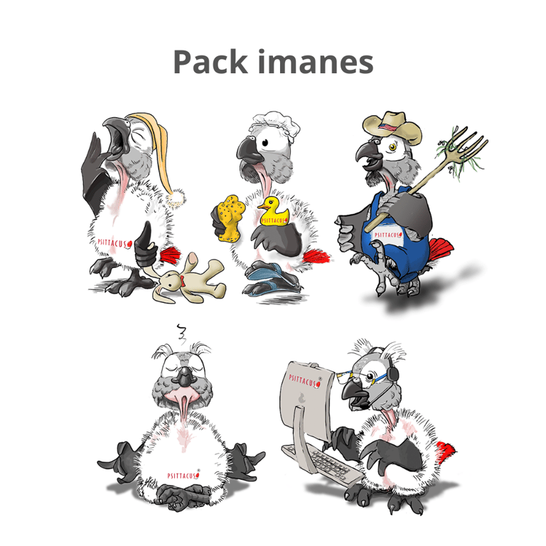 Vinilos pack 10 unidades