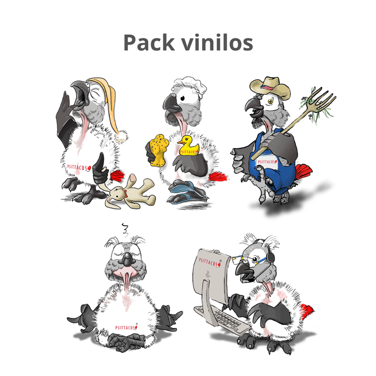 Vinilos pack 10 unidades