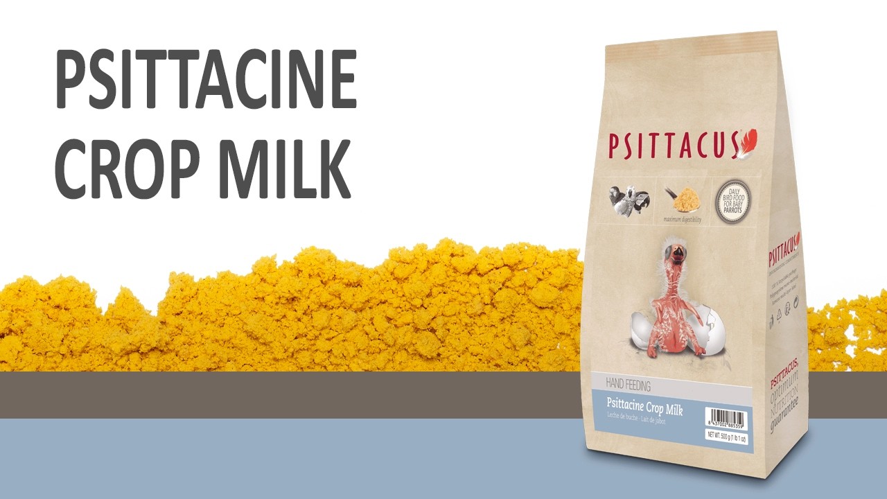 Psittacine crop milk