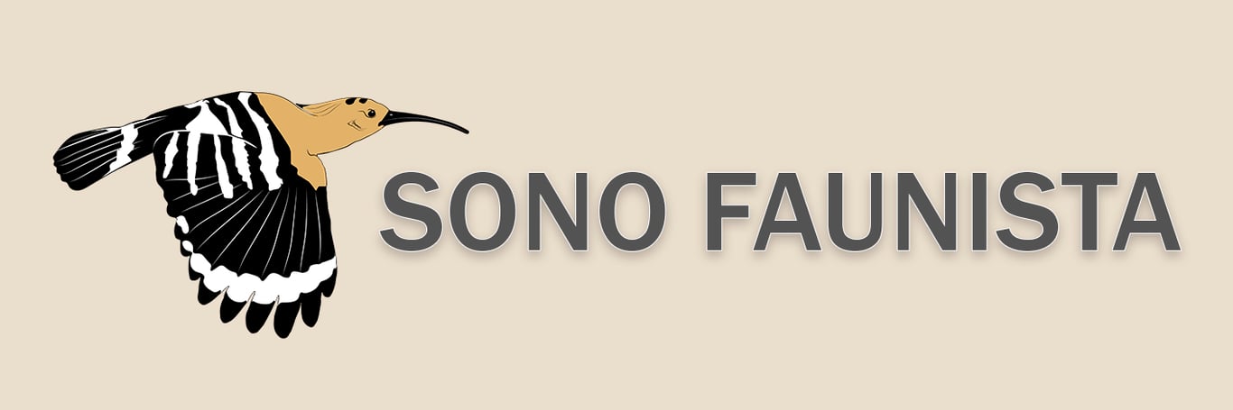 Logo sono faunista sfondo color