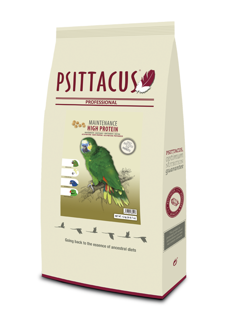 usa.psittacus.store