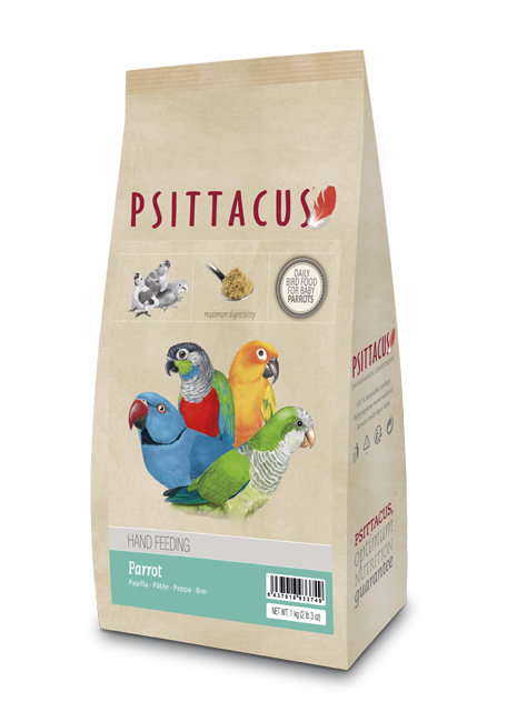 Parrot Hand Feeding Psittacus