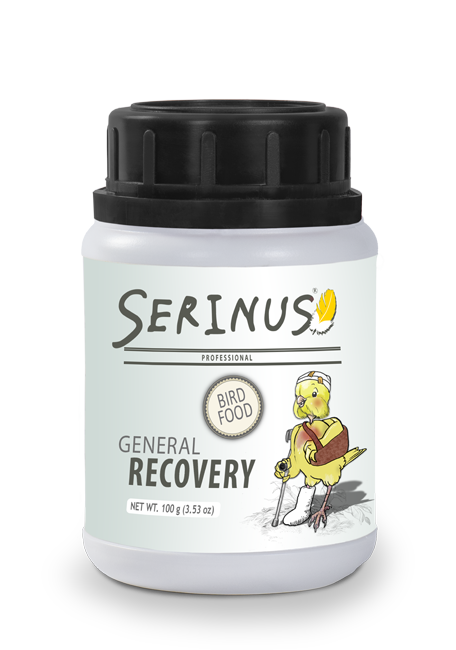 Serinus General recovery