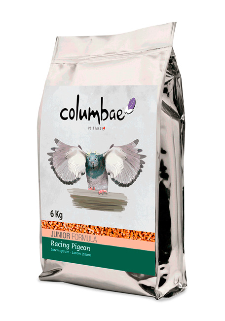 Junior Racing Pigeon 