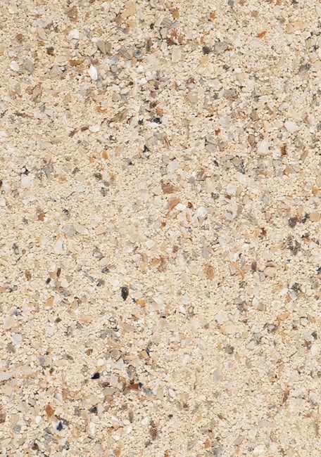 Psittacus Grit calcium fine Texture