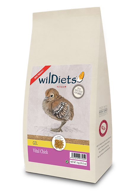 vital chick gel